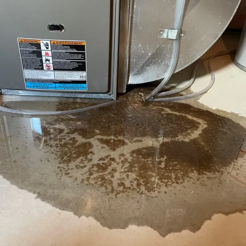 Appliance Leak Cleanup in Randolph County, WV