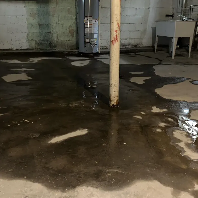 Emergency Water Extraction And Removal in Randolph County, WV